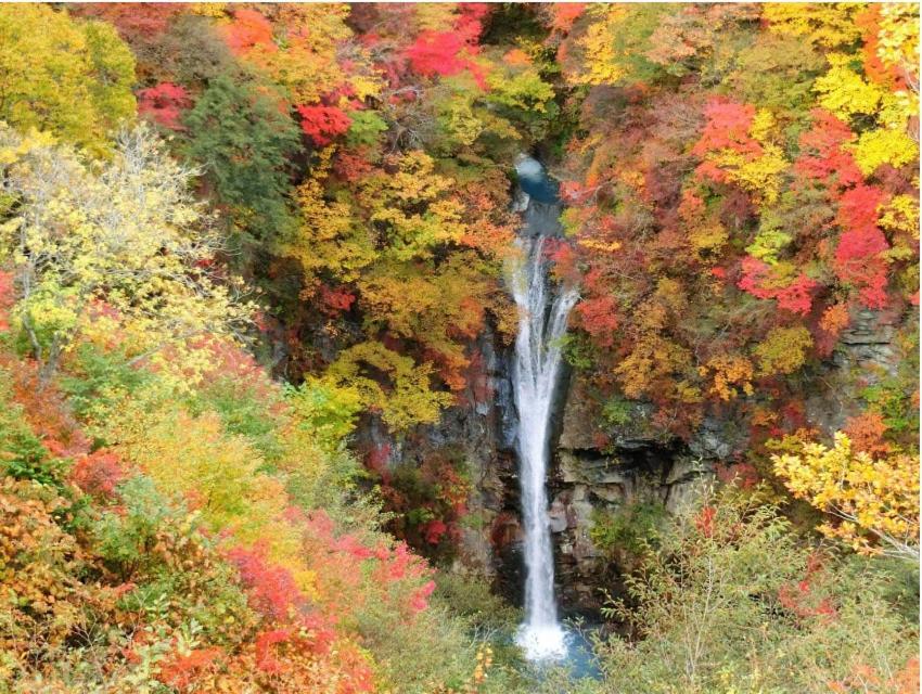 ヴィンテージ那須 Villa นาสุ ภายนอก รูปภาพ