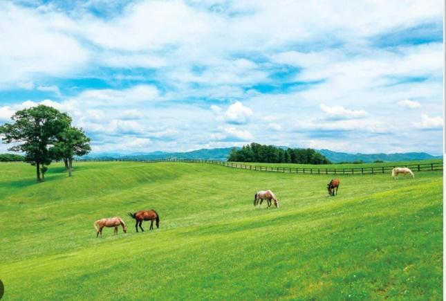 ヴィンテージ那須 Villa นาสุ ภายนอก รูปภาพ